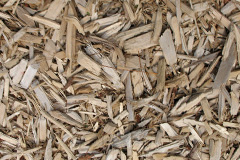 biomass boilers Knettishall
